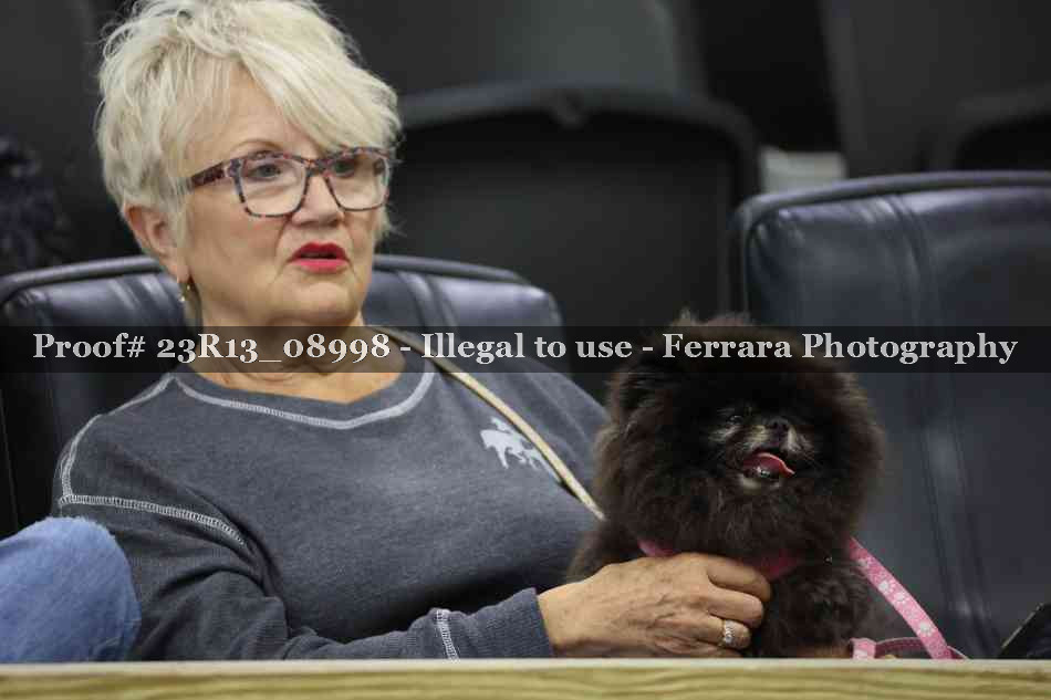 Proof Number 23R13_08998