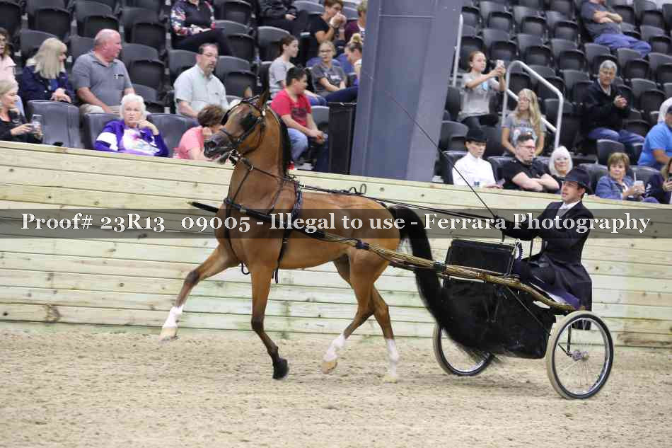 Proof Number 23R13_09005