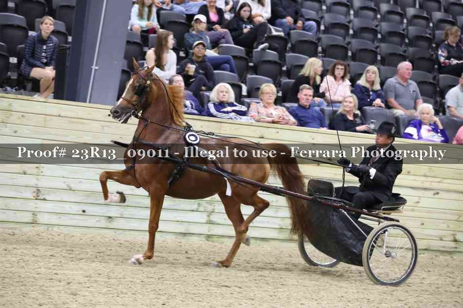 Proof Number 23R13_09011