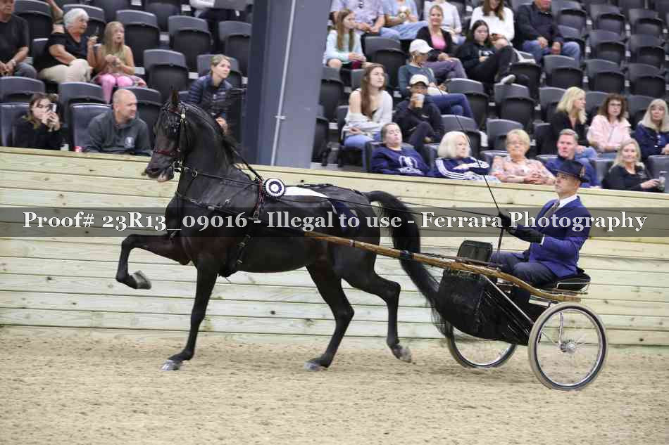 Proof Number 23R13_09016