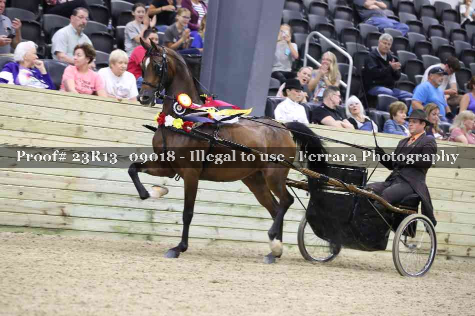 Proof Number 23R13_09018