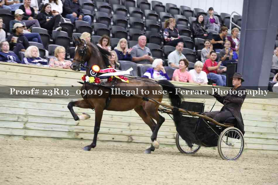 Proof Number 23R13_09019