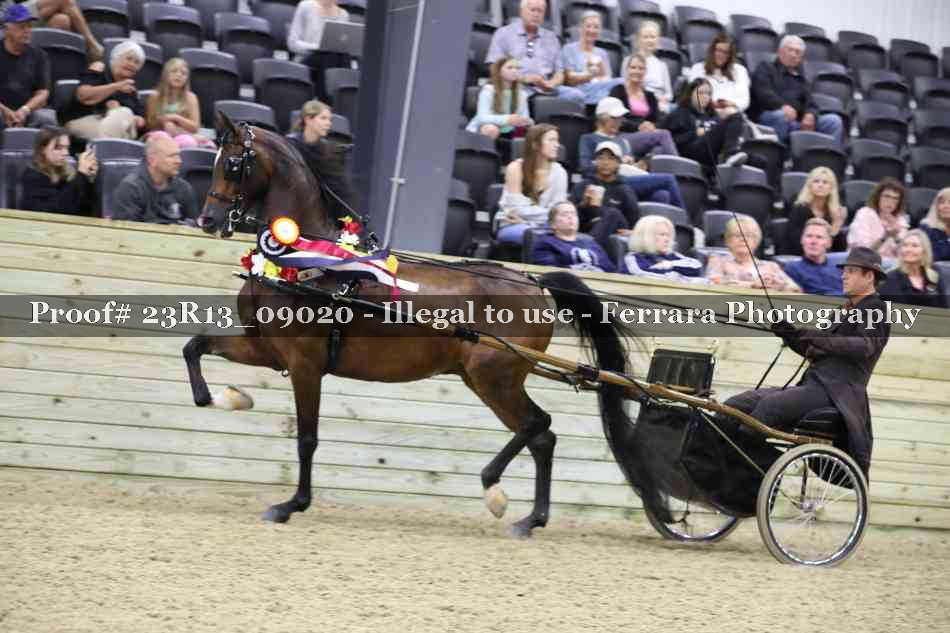 Proof Number 23R13_09020