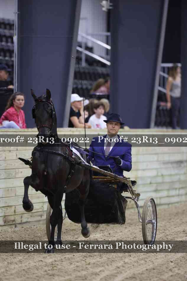 Proof Number 23R13_09022