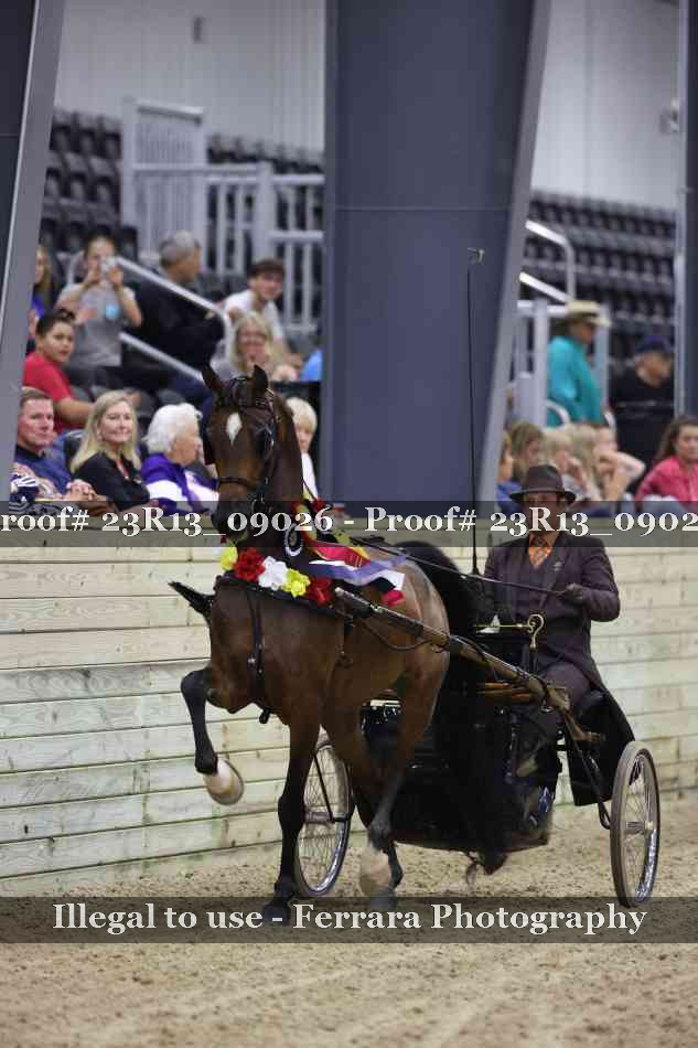 Proof Number 23R13_09026
