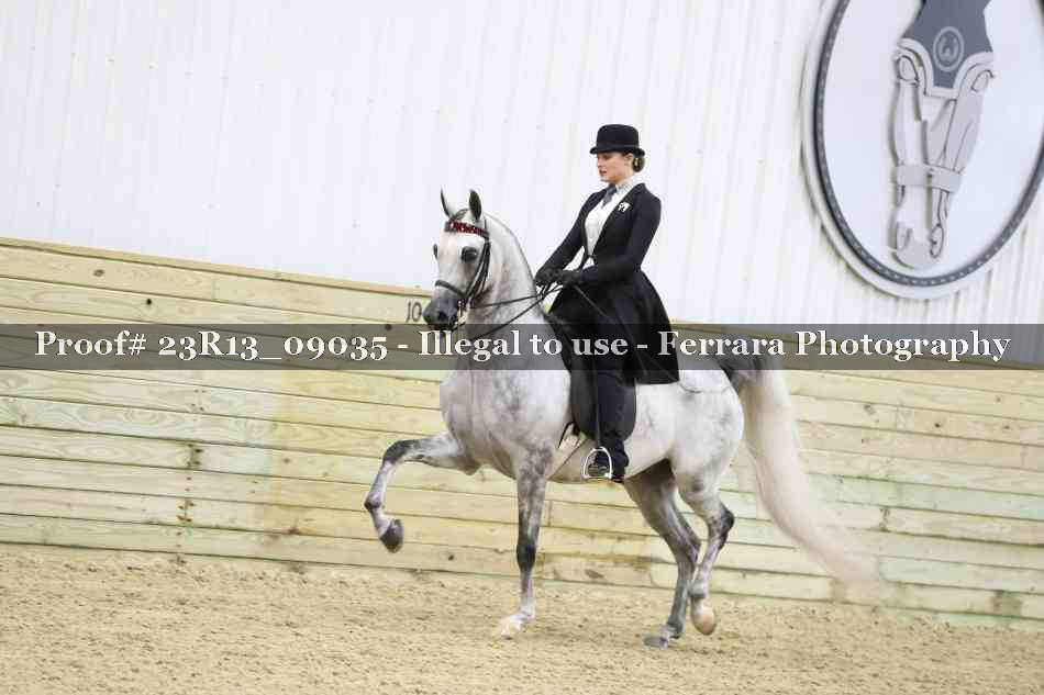 Proof Number 23R13_09035