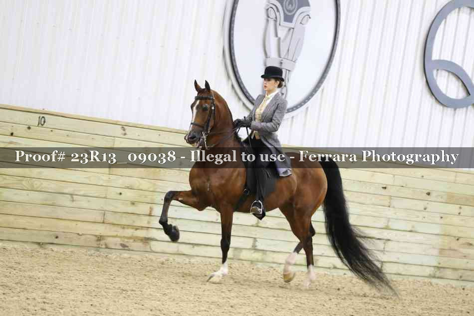 Proof Number 23R13_09038