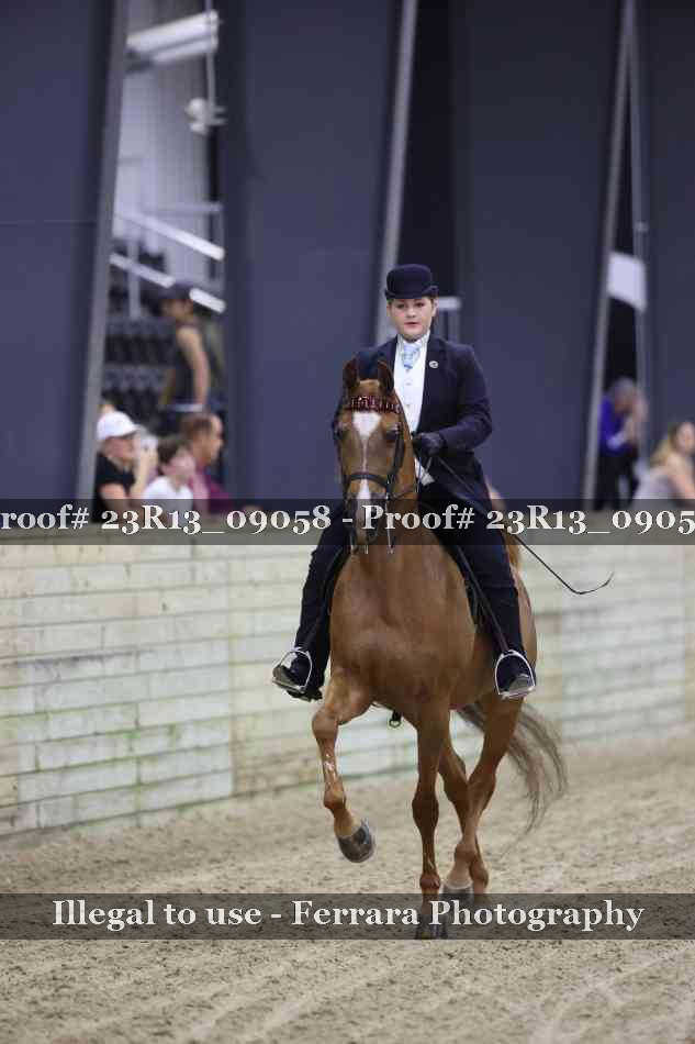 Proof Number 23R13_09058