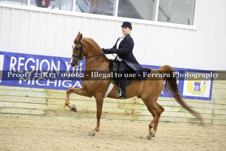Proof Number 23R13_09062