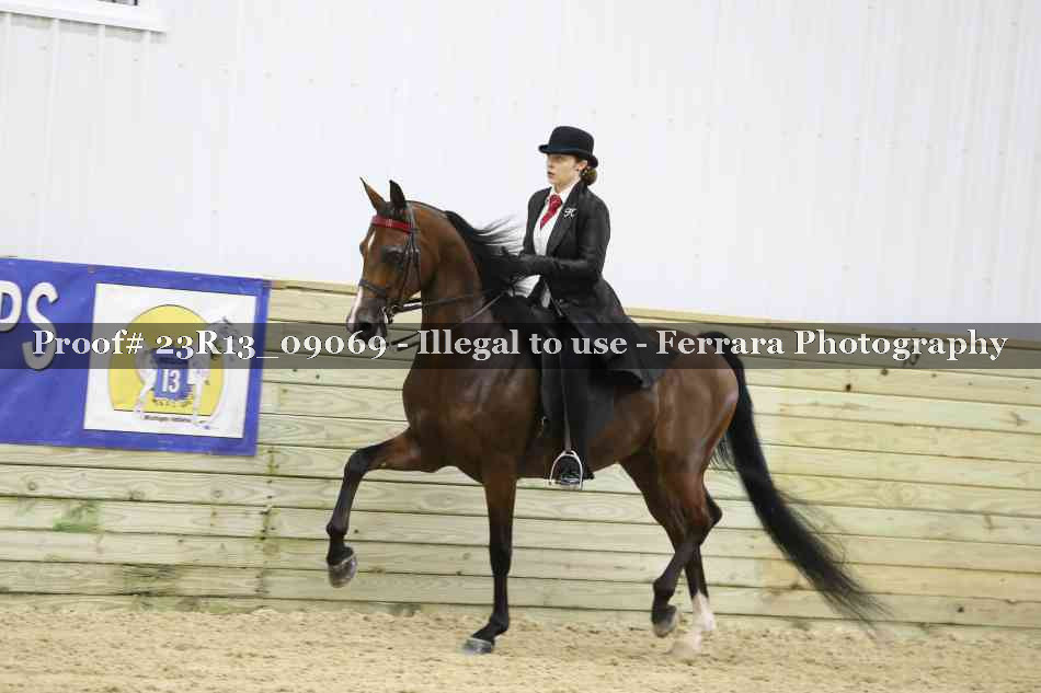 Proof Number 23R13_09069