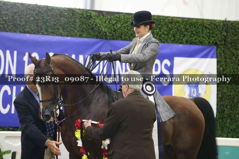 Proof Number 23R13_09087