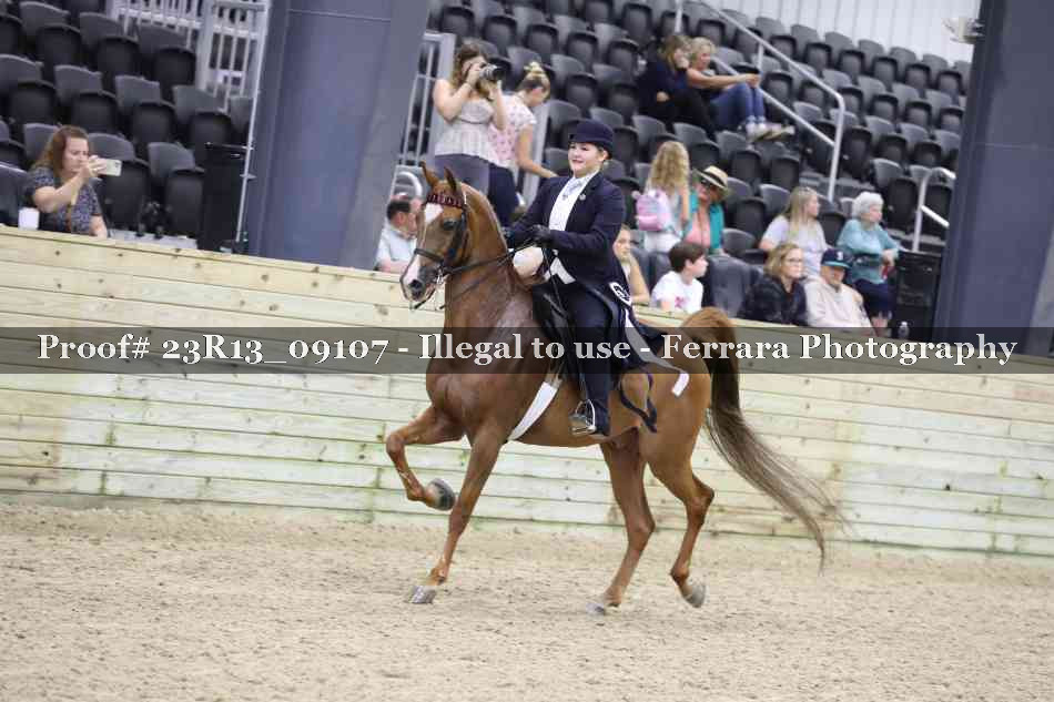 Proof Number 23R13_09107