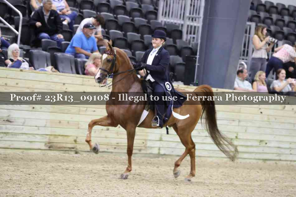 Proof Number 23R13_09108