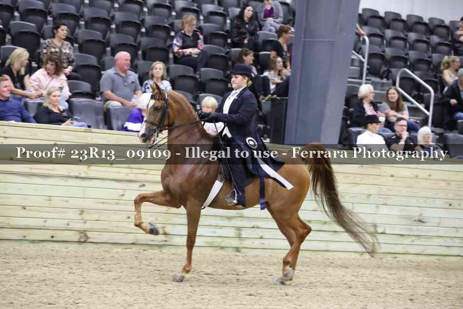 Proof Number 23R13_09109