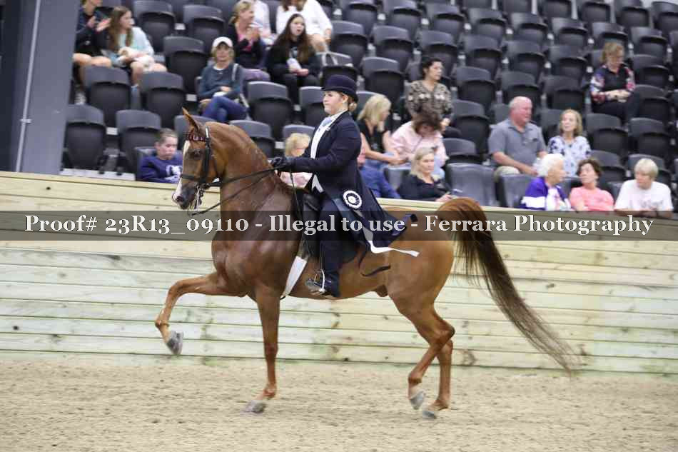 Proof Number 23R13_09110
