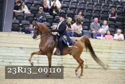 23R13_09110 thumbnail