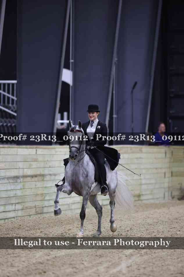 Proof Number 23R13_09112
