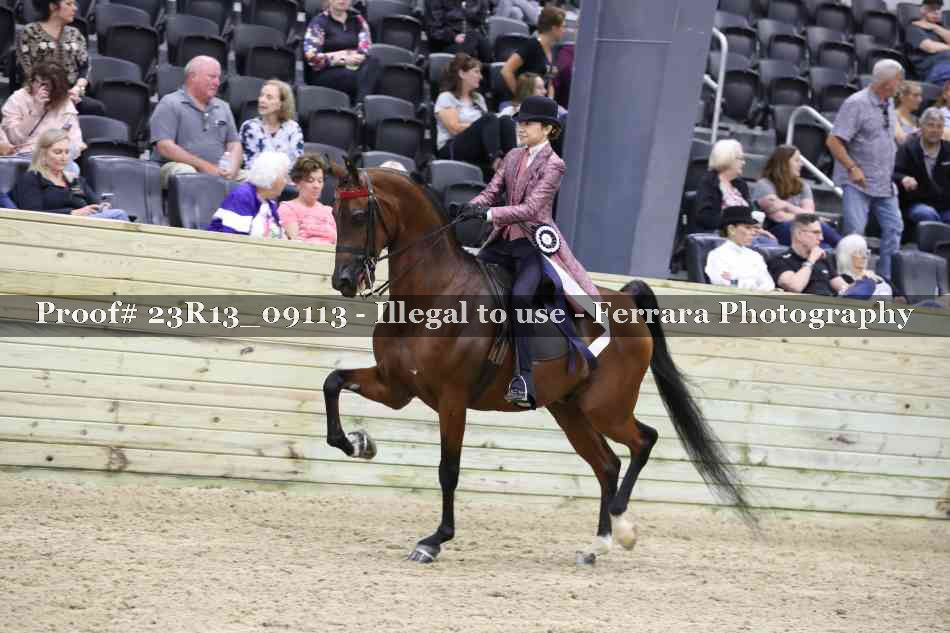 Proof Number 23R13_09113