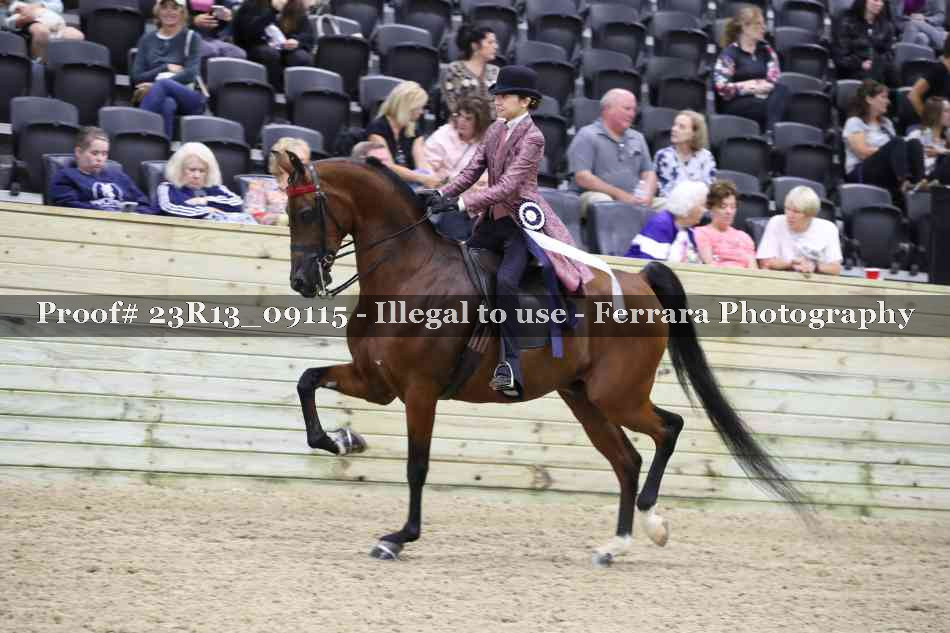 Proof Number 23R13_09115