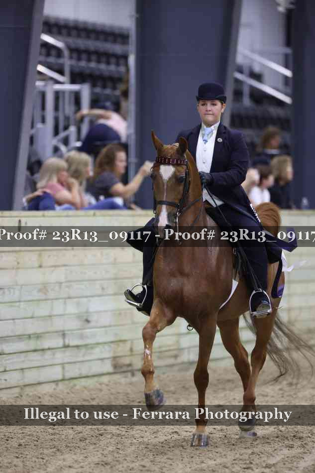 Proof Number 23R13_09117