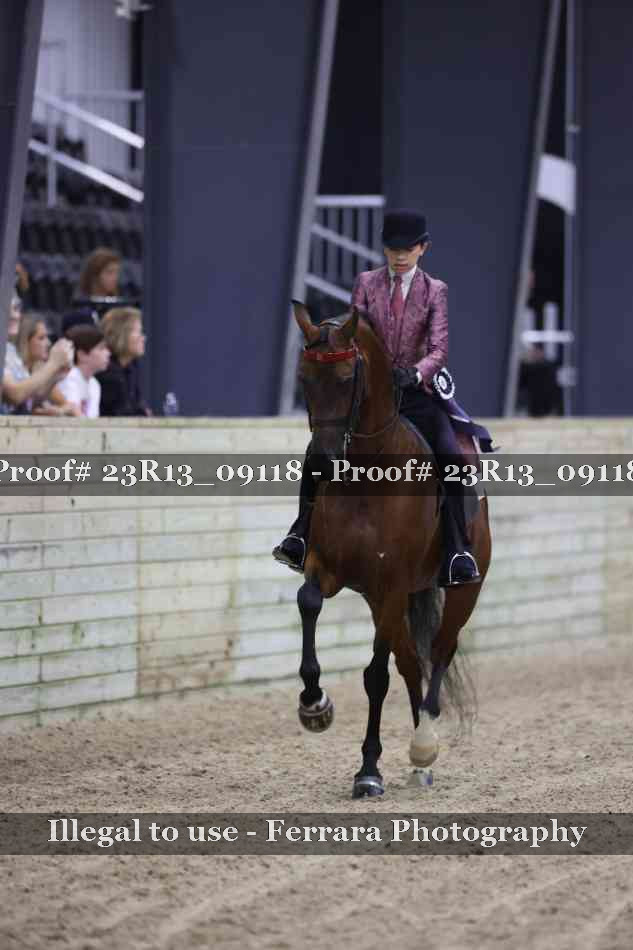 Proof Number 23R13_09118