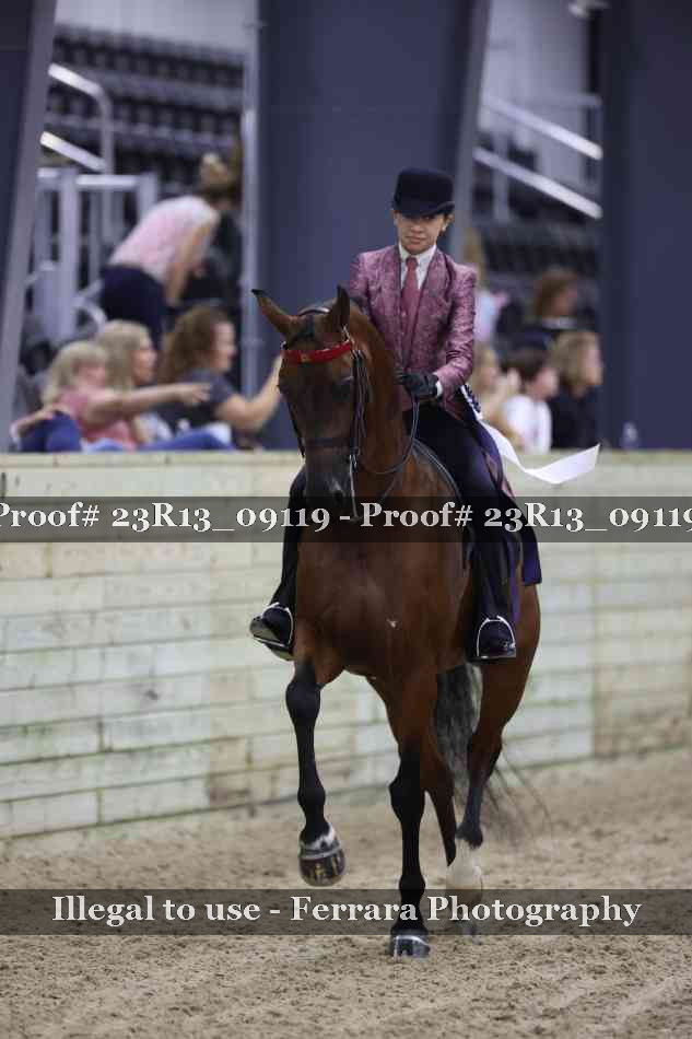 Proof Number 23R13_09119