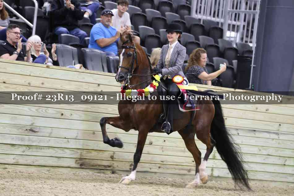Proof Number 23R13_09121