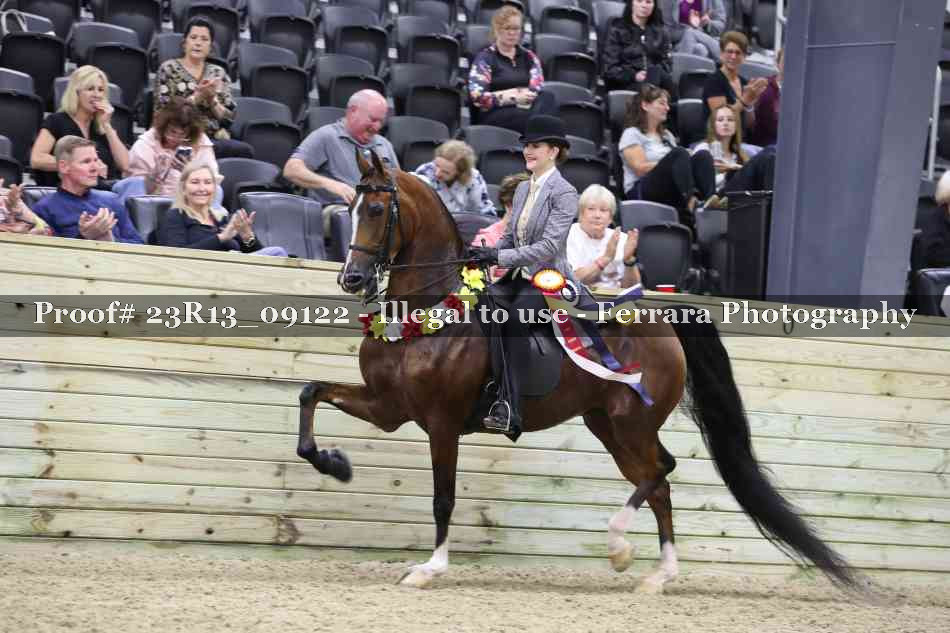 Proof Number 23R13_09122