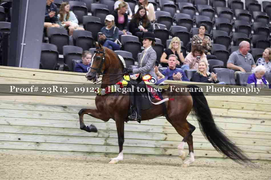 Proof Number 23R13_09123