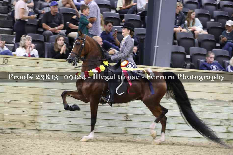 Proof Number 23R13_09124