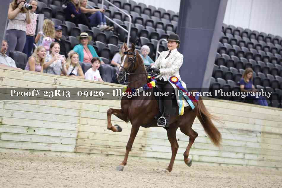 Proof Number 23R13_09126