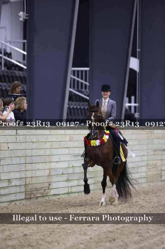 Proof Number 23R13_09127