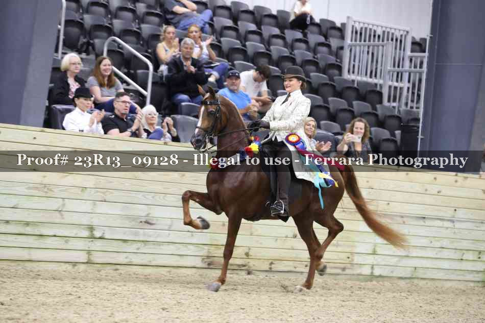 Proof Number 23R13_09128