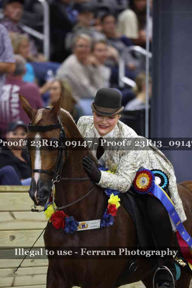 Proof Number 23R13_09147