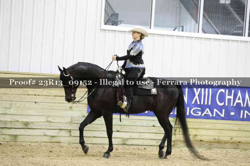 Proof Number 23R13_09152