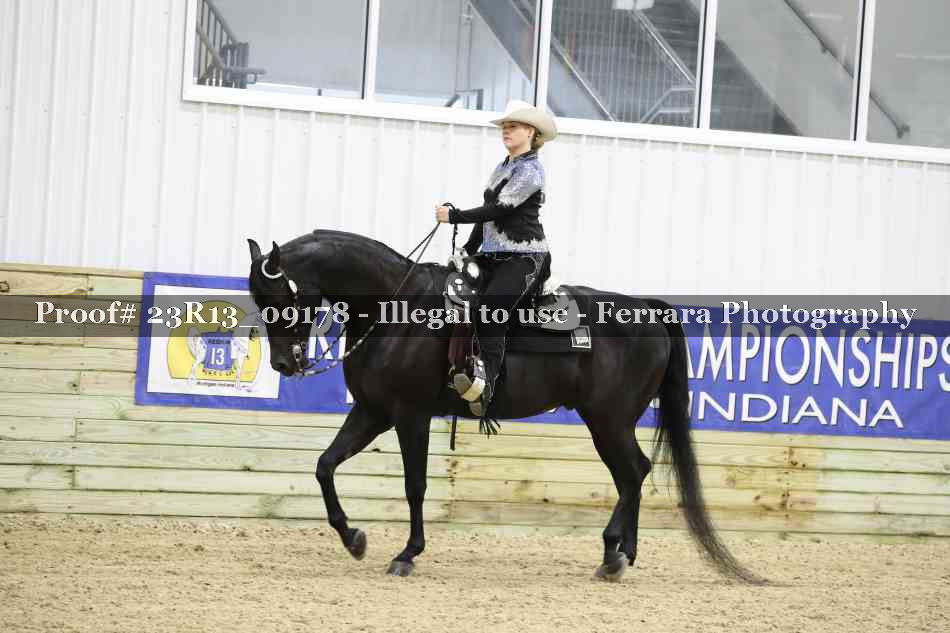 Proof Number 23R13_09178
