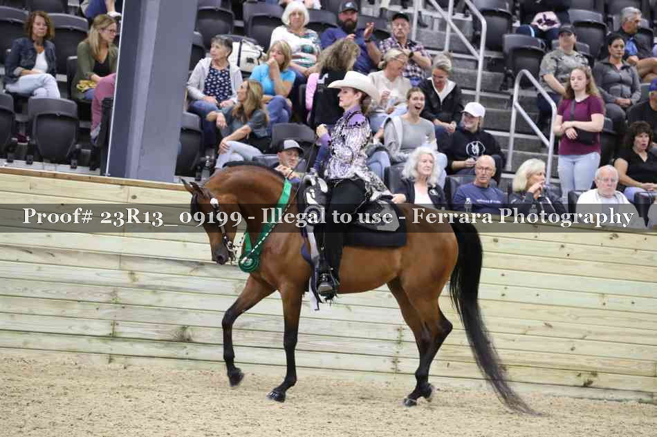 Proof Number 23R13_09199