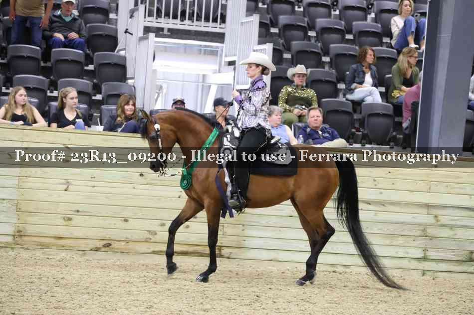 Proof Number 23R13_09200