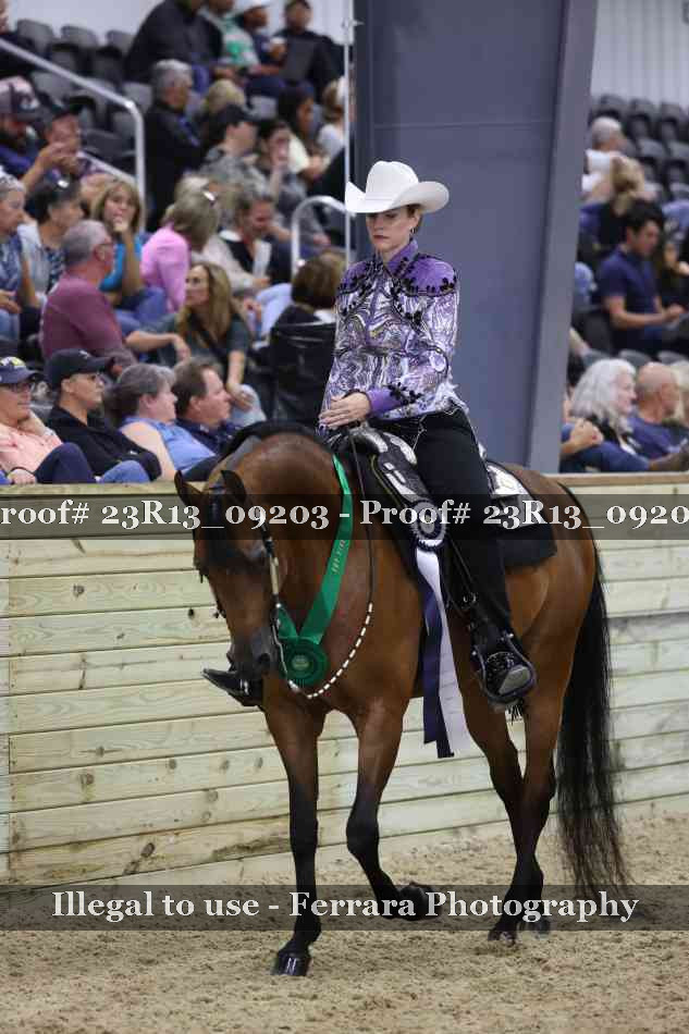 Proof Number 23R13_09203