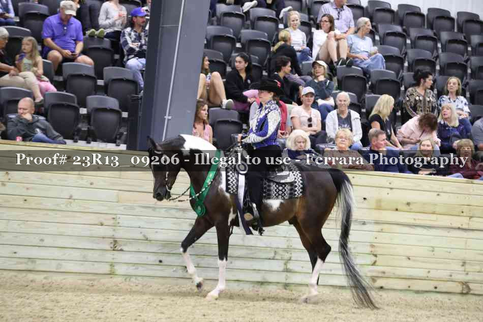 Proof Number 23R13_09206