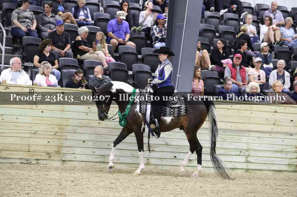 Proof Number 23R13_09207