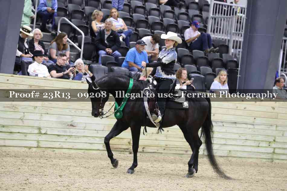 Proof Number 23R13_09208