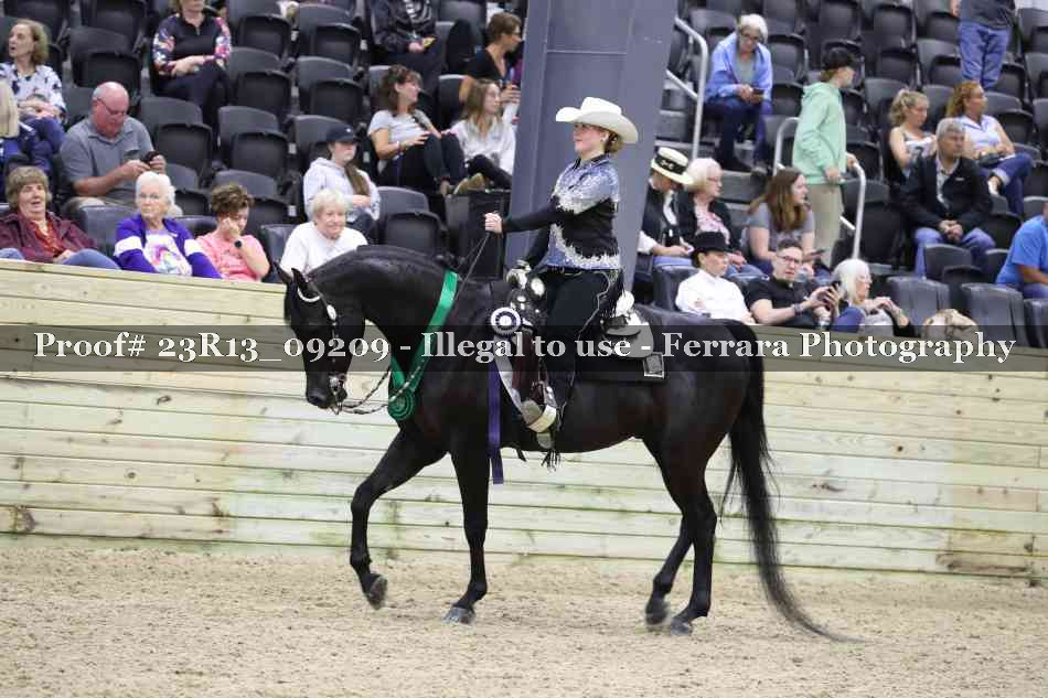 Proof Number 23R13_09209