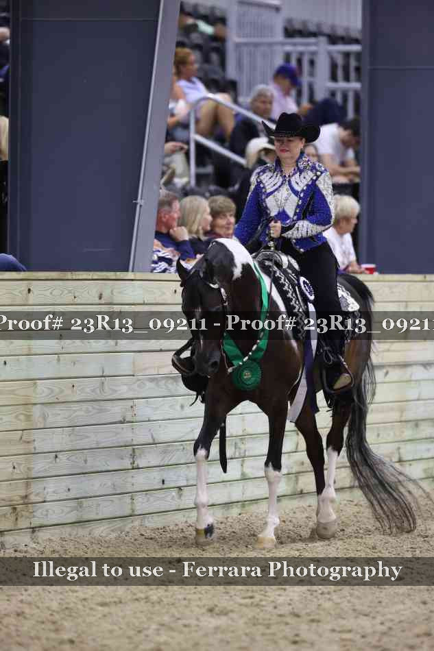 Proof Number 23R13_09211