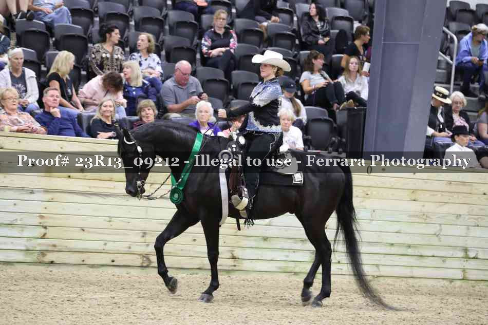 Proof Number 23R13_09212
