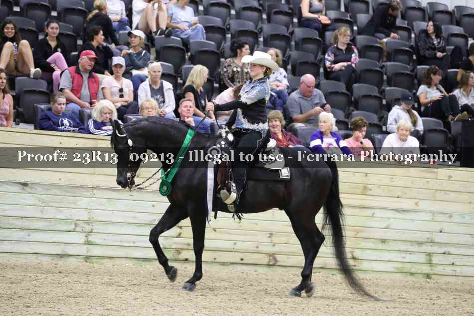 Proof Number 23R13_09213
