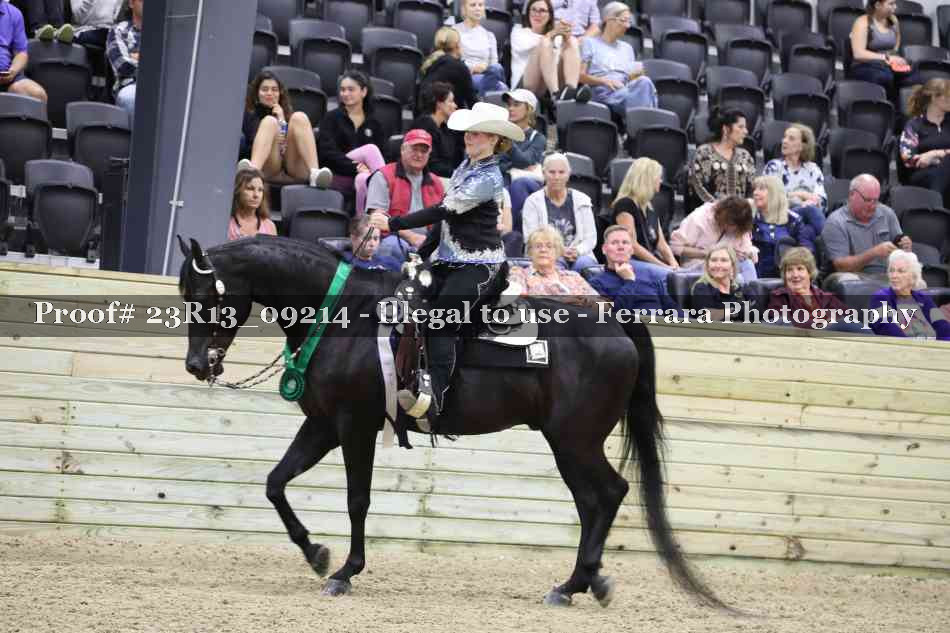 Proof Number 23R13_09214
