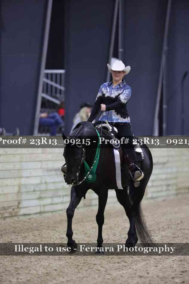 Proof Number 23R13_09215