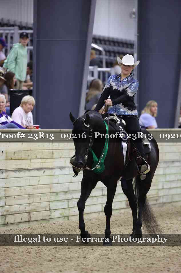 Proof Number 23R13_09216