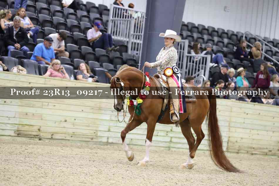 Proof Number 23R13_09217